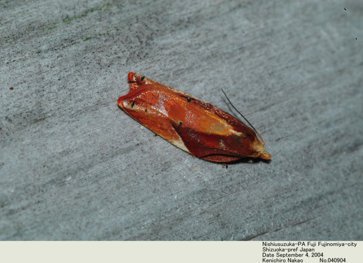 DSC_8367.jpg